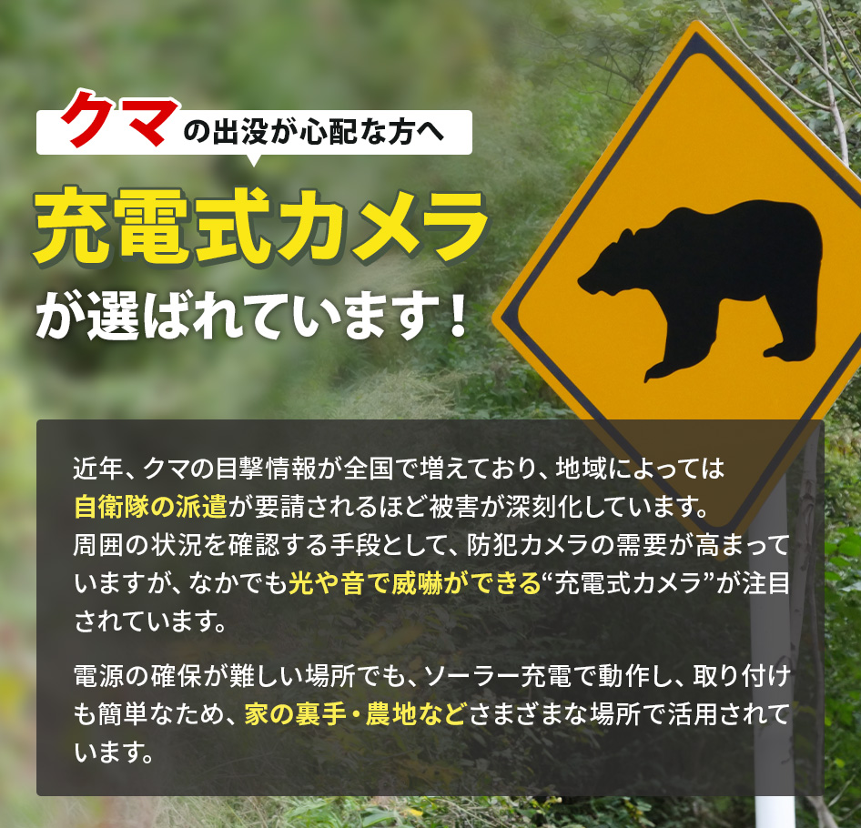 クマ対策